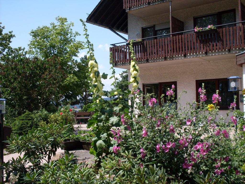 Hotel Wildenburger Hof Kempfeld エクステリア 写真