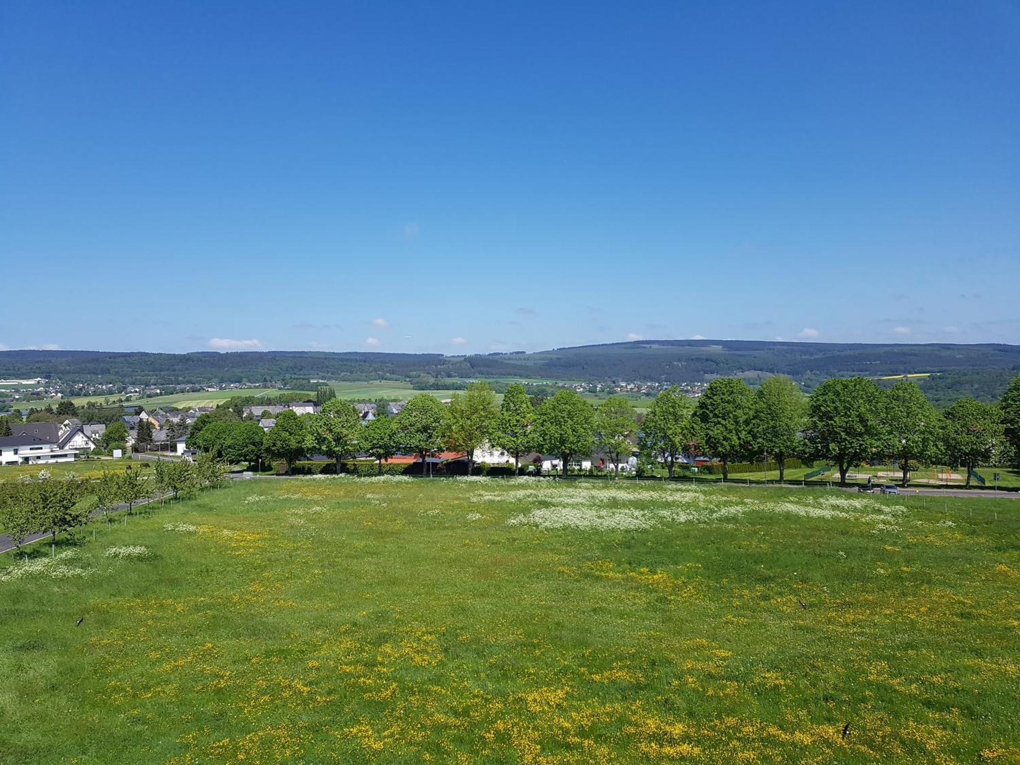 Hotel Wildenburger Hof Kempfeld エクステリア 写真