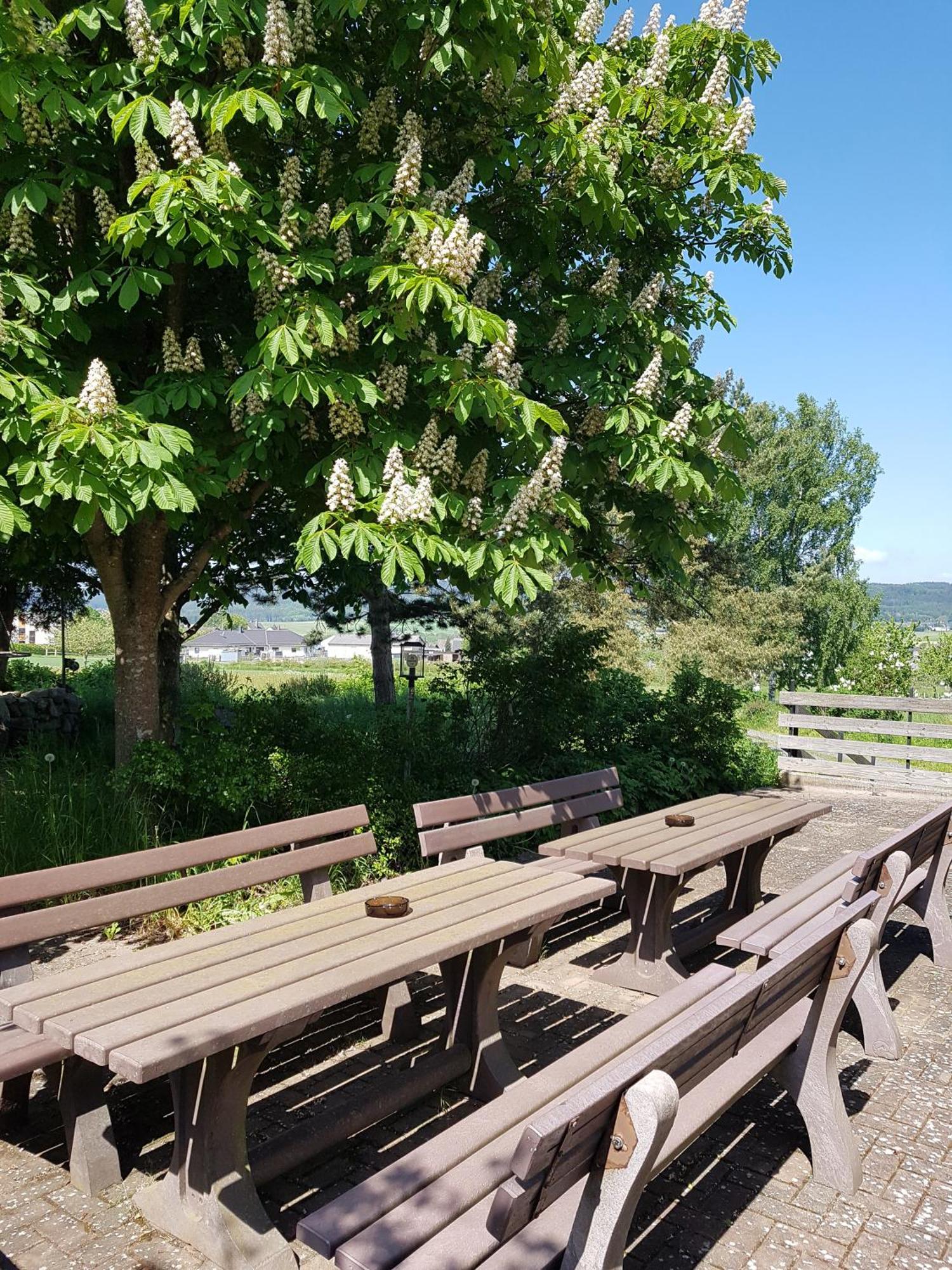 Hotel Wildenburger Hof Kempfeld エクステリア 写真